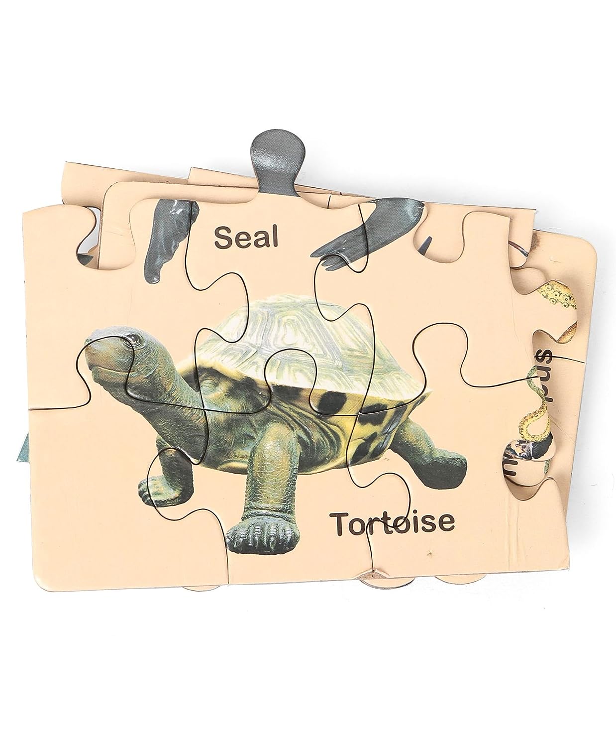 Ratna's Knowledge Bank Series of Jigsaw Puzzle (2)