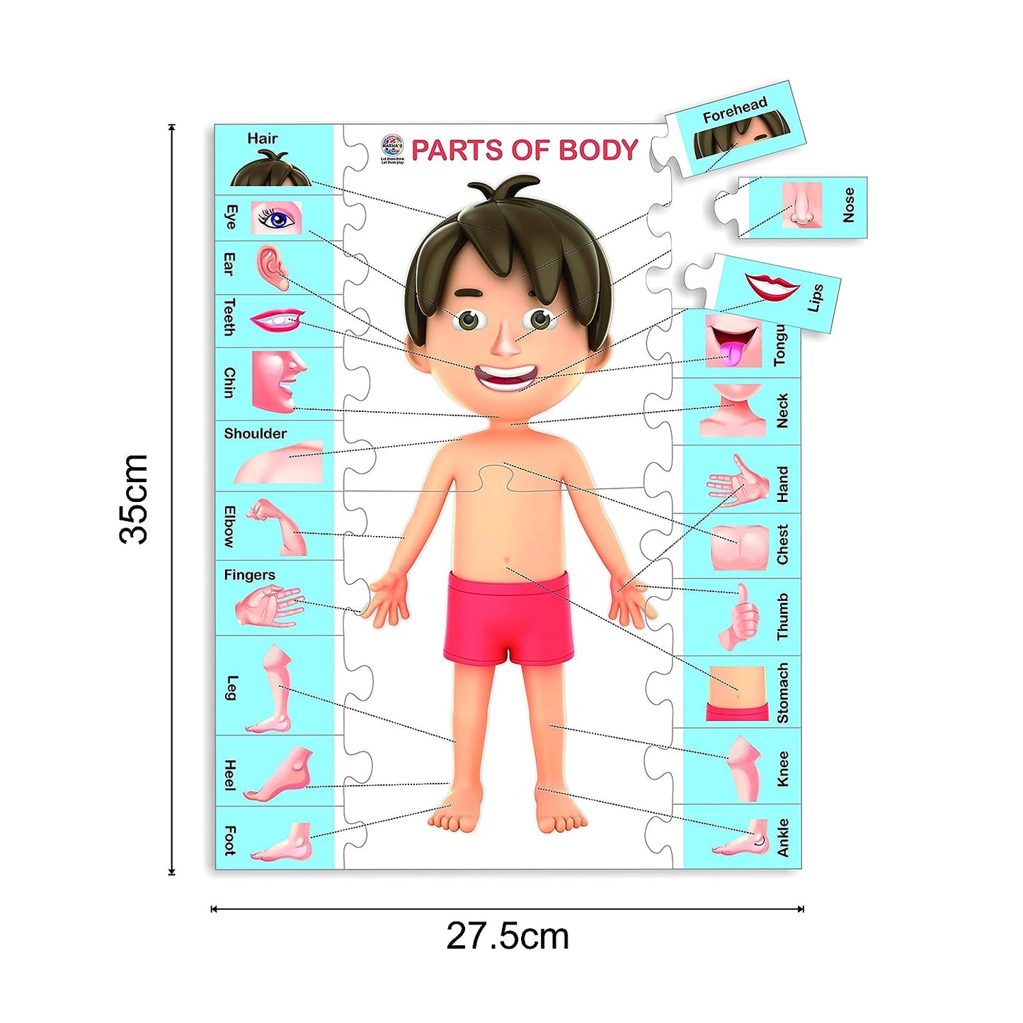 Ratna's Knowledge Bank - 1 Jigsaw Puzzle for Kids 3+