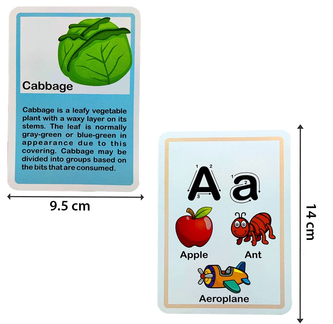 RATNA'S 8 in 1 Flash Cards 100 uniquely designed double sided flash cards features Alphabet,Number,Birds,Animals,Fruits,Vegetable,Transport & Aqua Animals  (Multicolor)