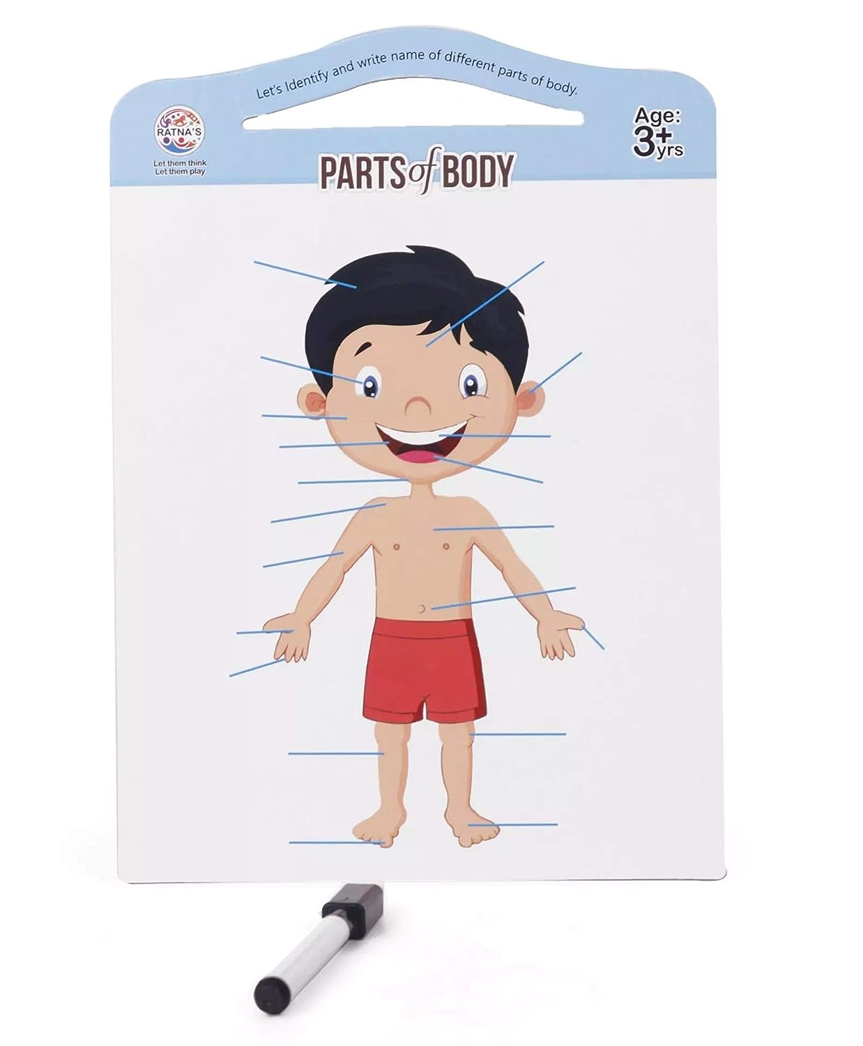 RATNA'S Parts of Body Jigsaw Puzzle for Kids with 2 in 1 Write and Wipe Board with Body Parts