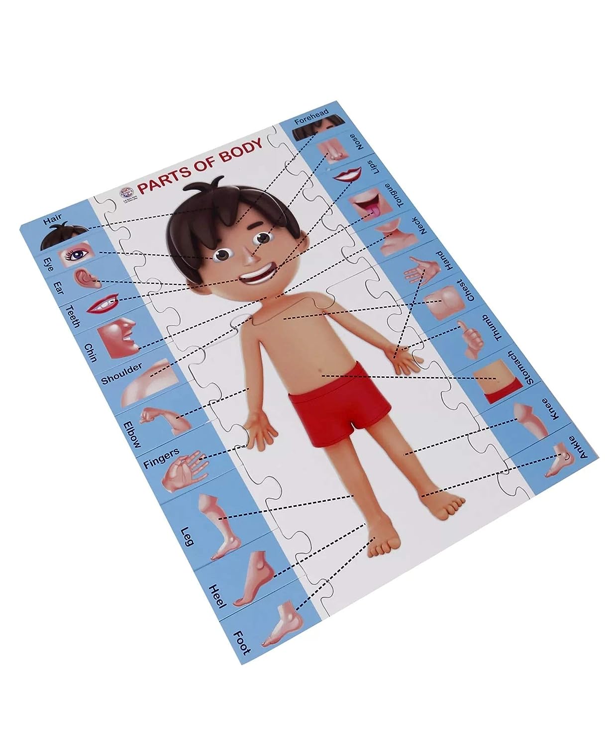 RATNA'S Parts of Body Jigsaw Puzzle for Kids with 2 in 1 Write and Wipe Board with Body Parts
