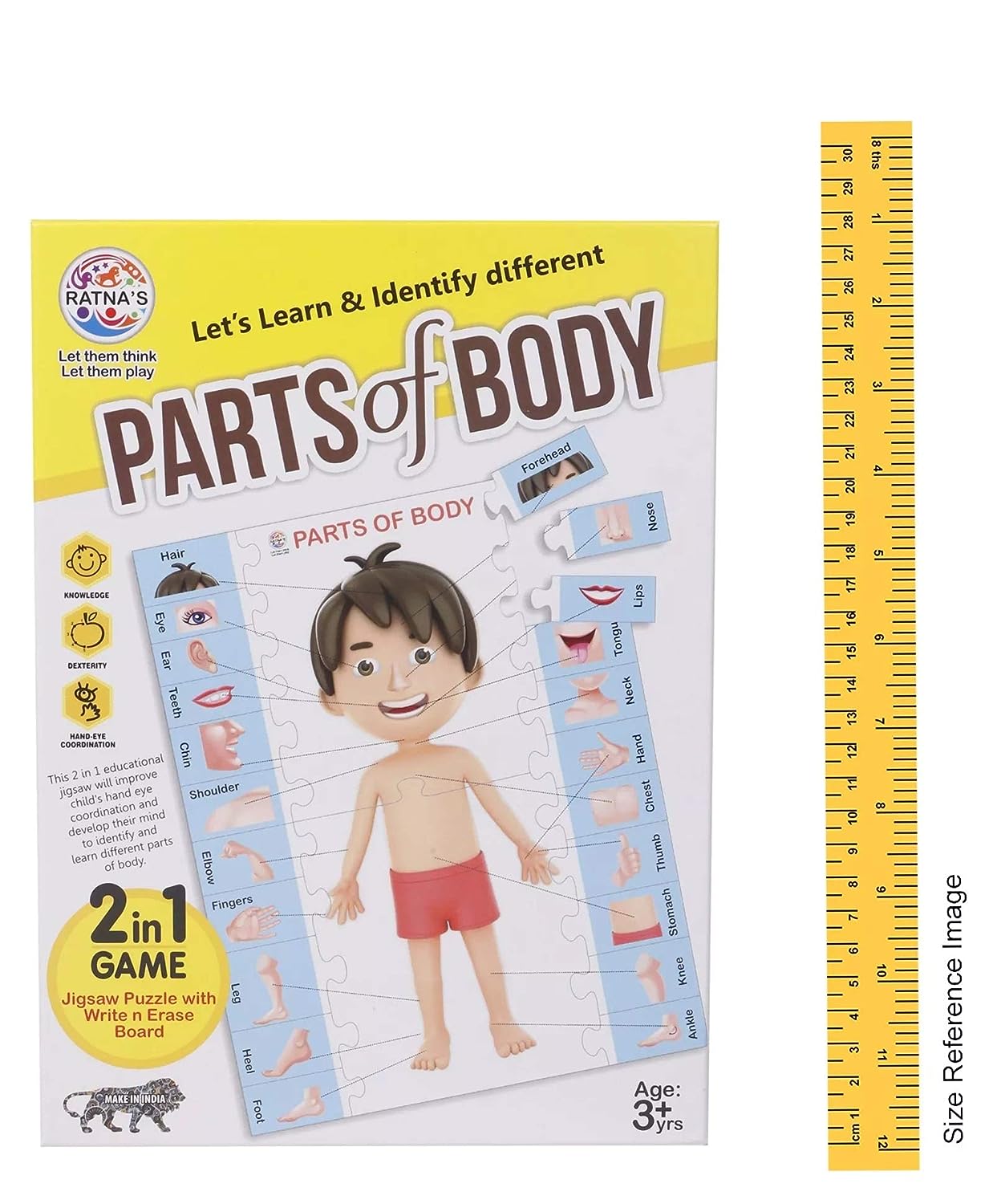 RATNA'S Parts of Body Jigsaw Puzzle for Kids with 2 in 1 Write and Wipe Board with Body Parts
