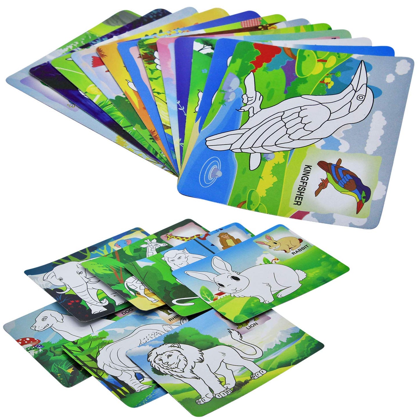 Ekta Color and Wipe Kit - Animals and Birds/ Preschool Coloring Kit for 3+ Years Toddlers/Kids