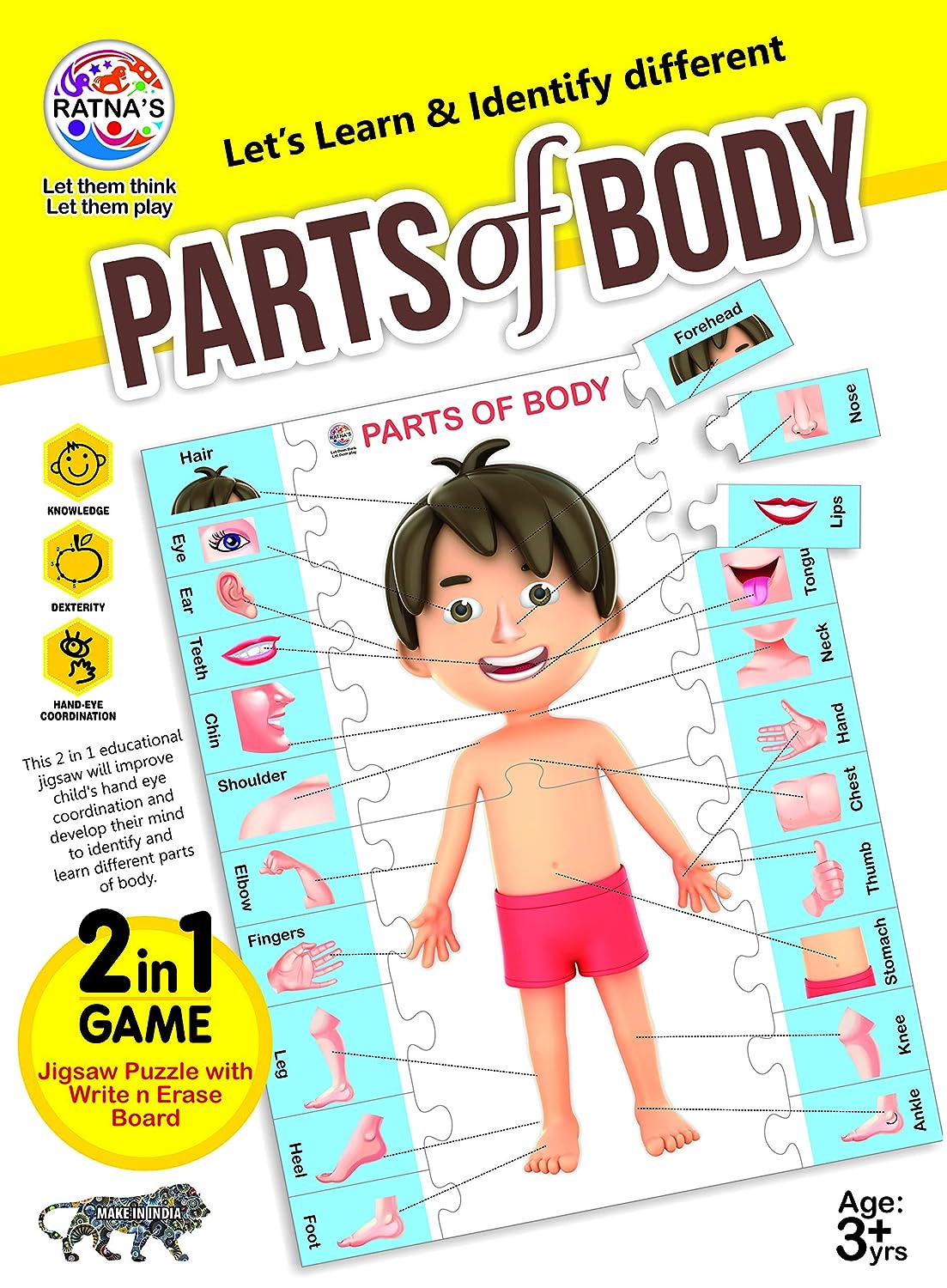 RATNA'S Parts of Body Jigsaw Puzzle for Kids with 2 in 1 Write and Wipe Board with Body Parts